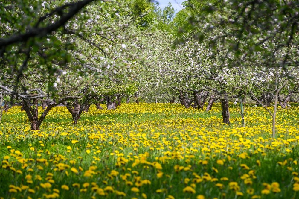 Photograph by Roman Dmitriev