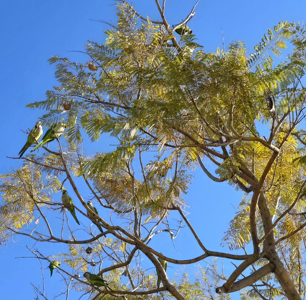 Photograph by Yulia Rotbach