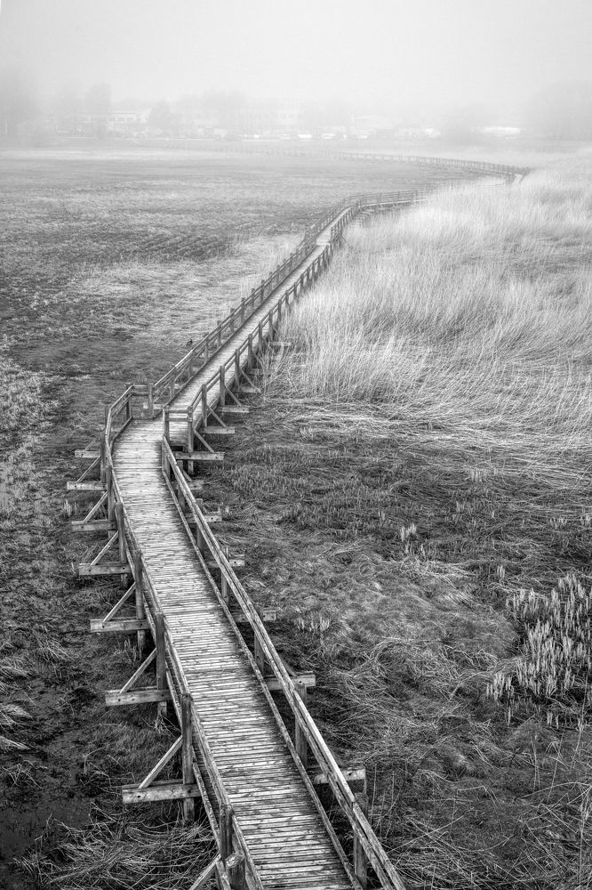 Сохраним нашу планету