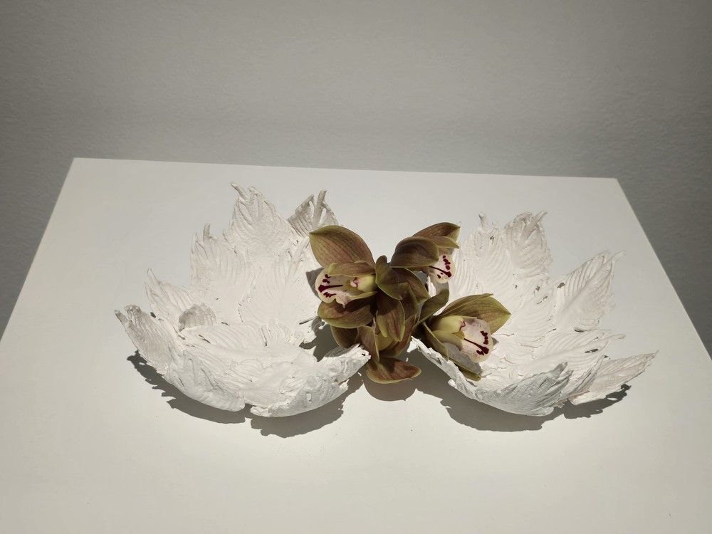 Фотография автора Yulia Rotbach