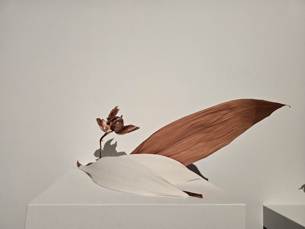 Фотография автора Yulia Rotbach