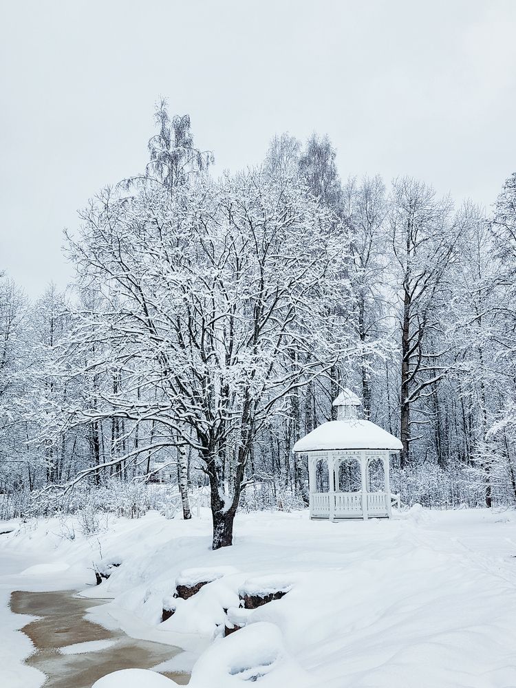 Photograph by Inna Iudina