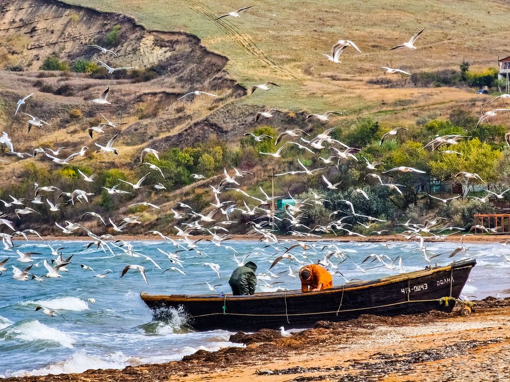 Photograph by Лариса Когтева