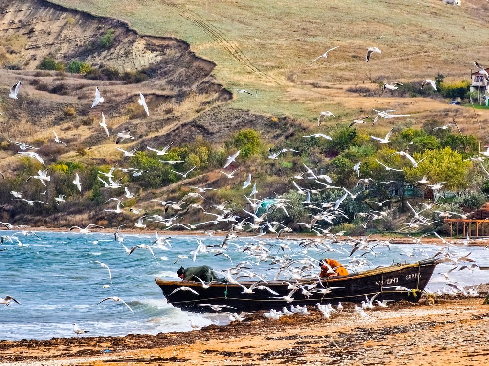 Photograph by Лариса Когтева