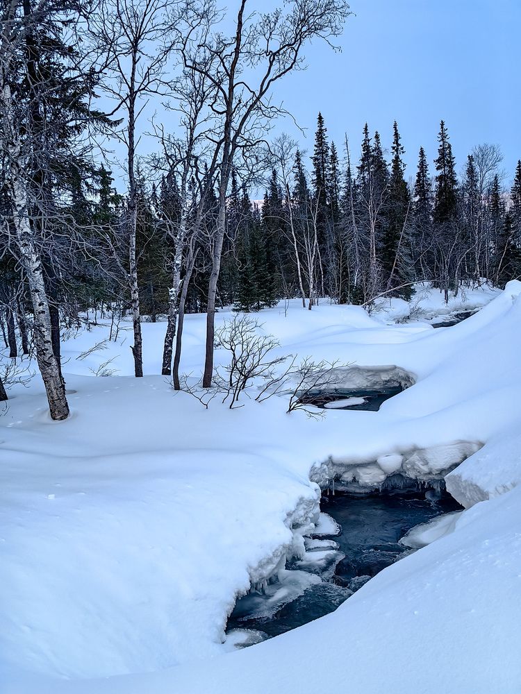 Photograph by Наталия Березина