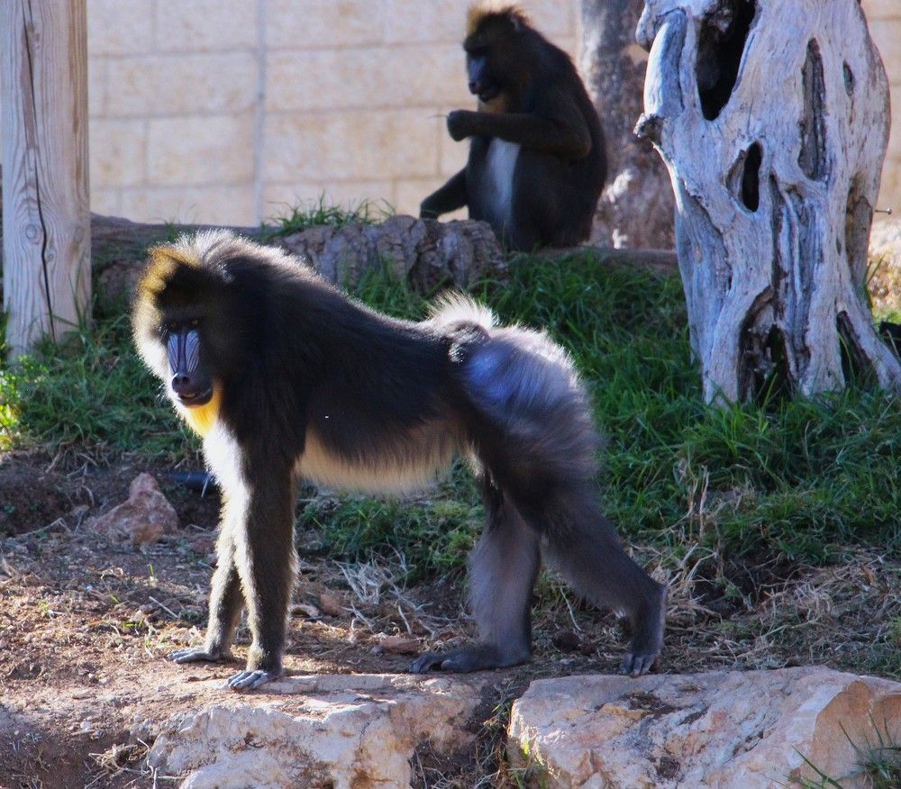 Photograph by Людмила Бутова