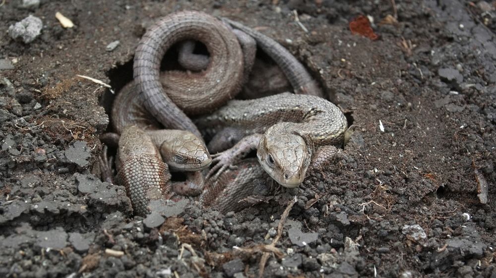 Photograph by Юрий Горяной