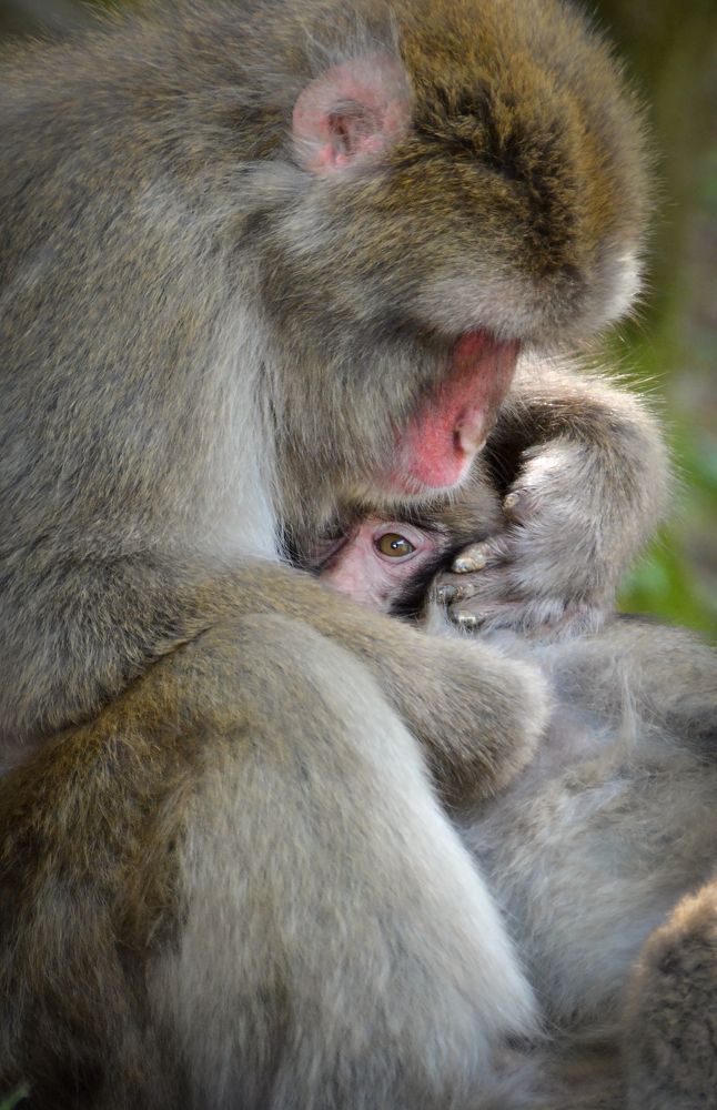 Photograph by ANDREA NIGRA