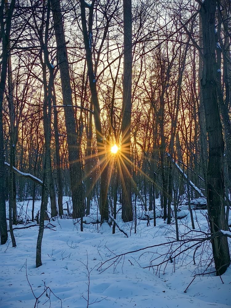 Photograph by Nikolay Nikolay