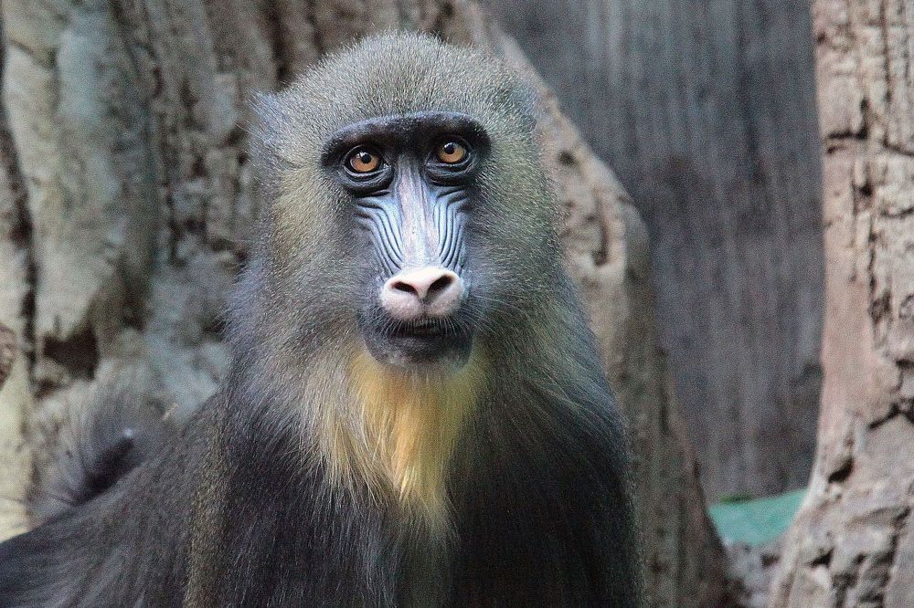 Photograph by Алексей Амилющенко