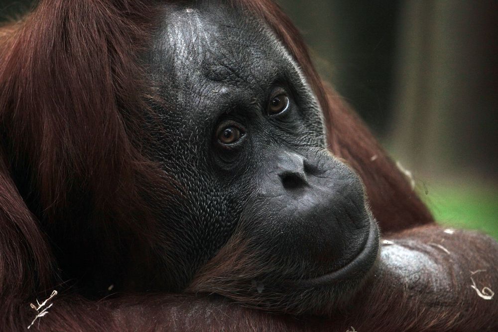 Photograph by Алексей Амилющенко