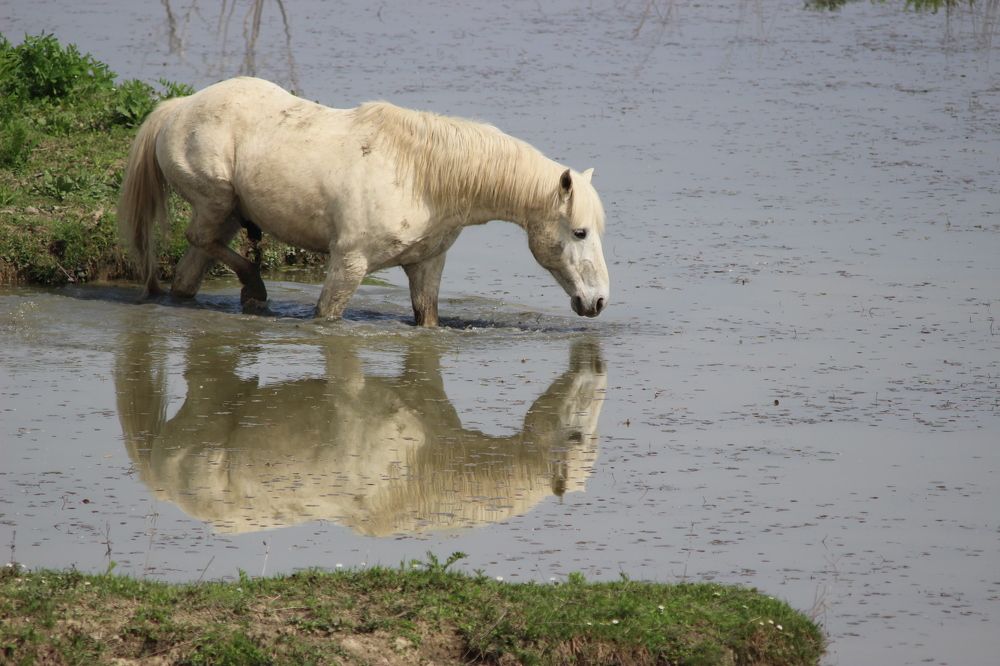 Photograph by MariaVittoria Amoruso