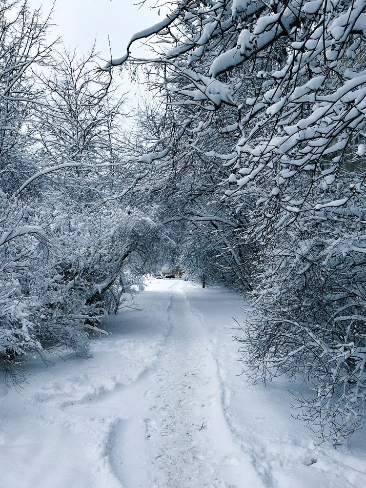 Photograph by Витольда Осина