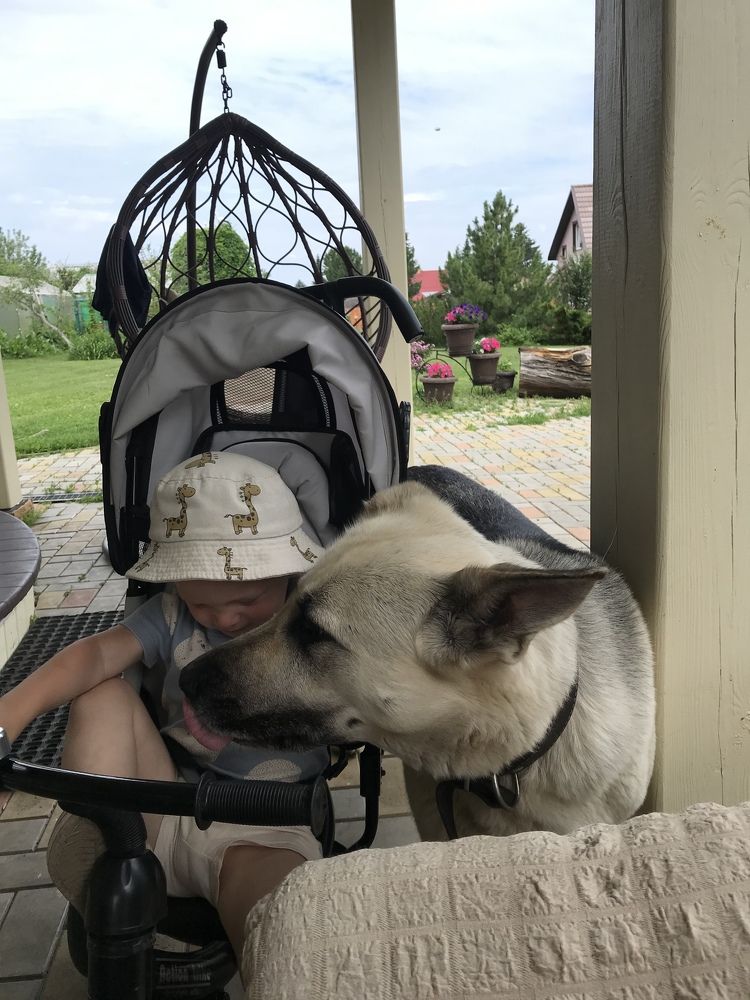 Общение внука и Санты на даче