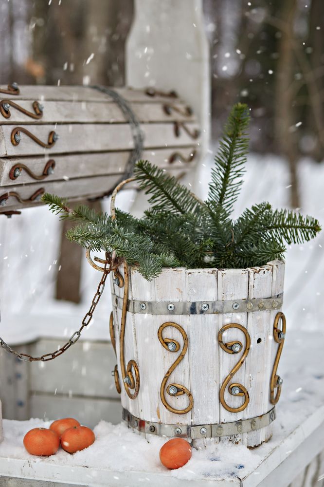 Photograph by Светлана