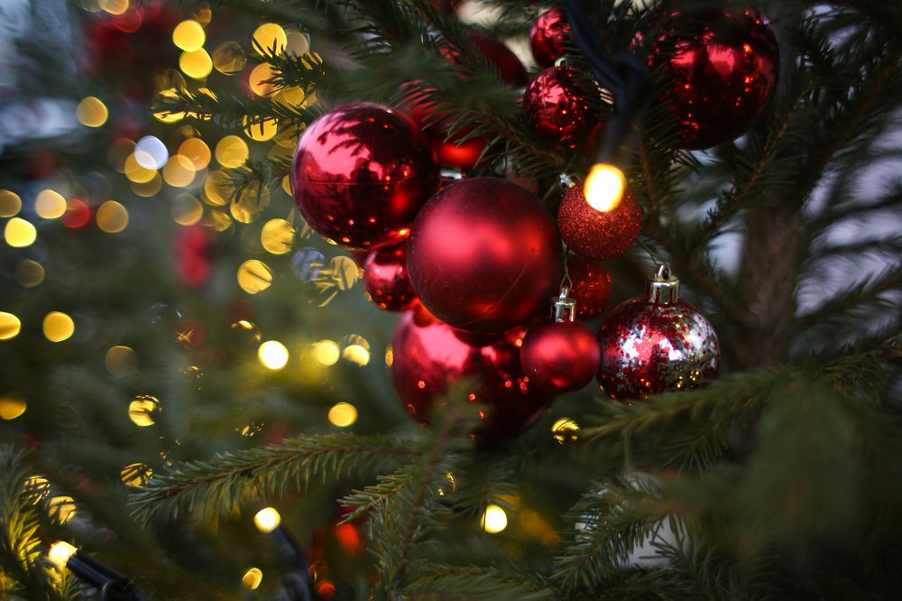 Photograph by Дарья Улюсова