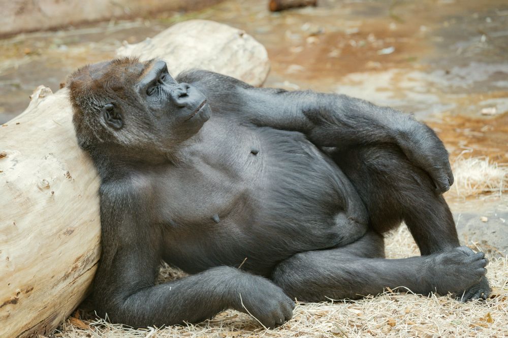 Photograph by Переслегин Александр