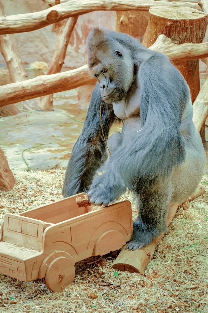 Photograph by Переслегин Александр