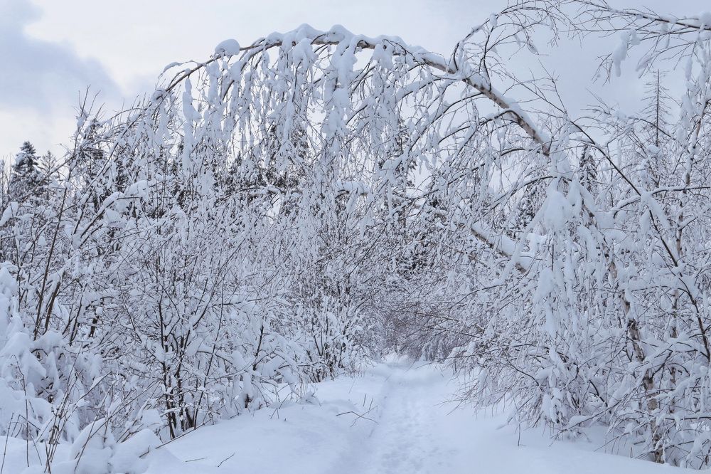 Photograph by Aleksandr Larionov