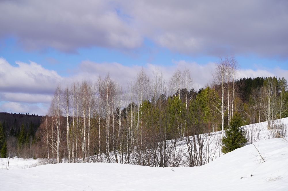 Photograph by Светлана Семенова