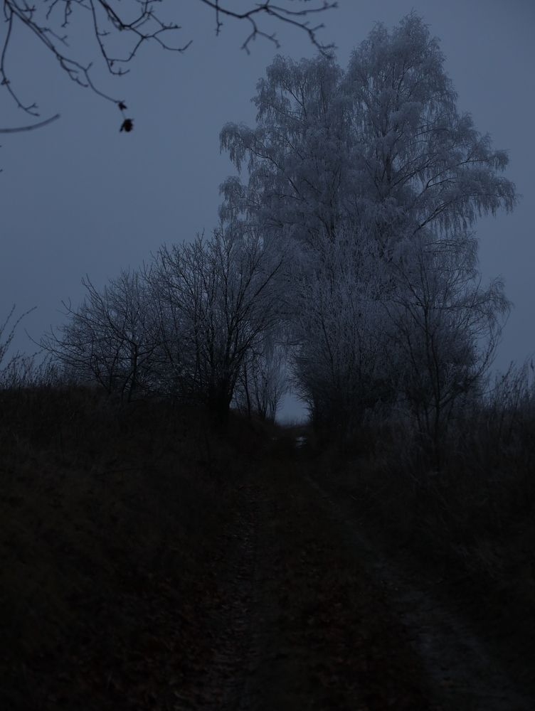 Photograph by Александра Тютчева