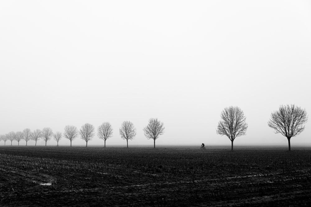 Photograph by Dennis Hoeren