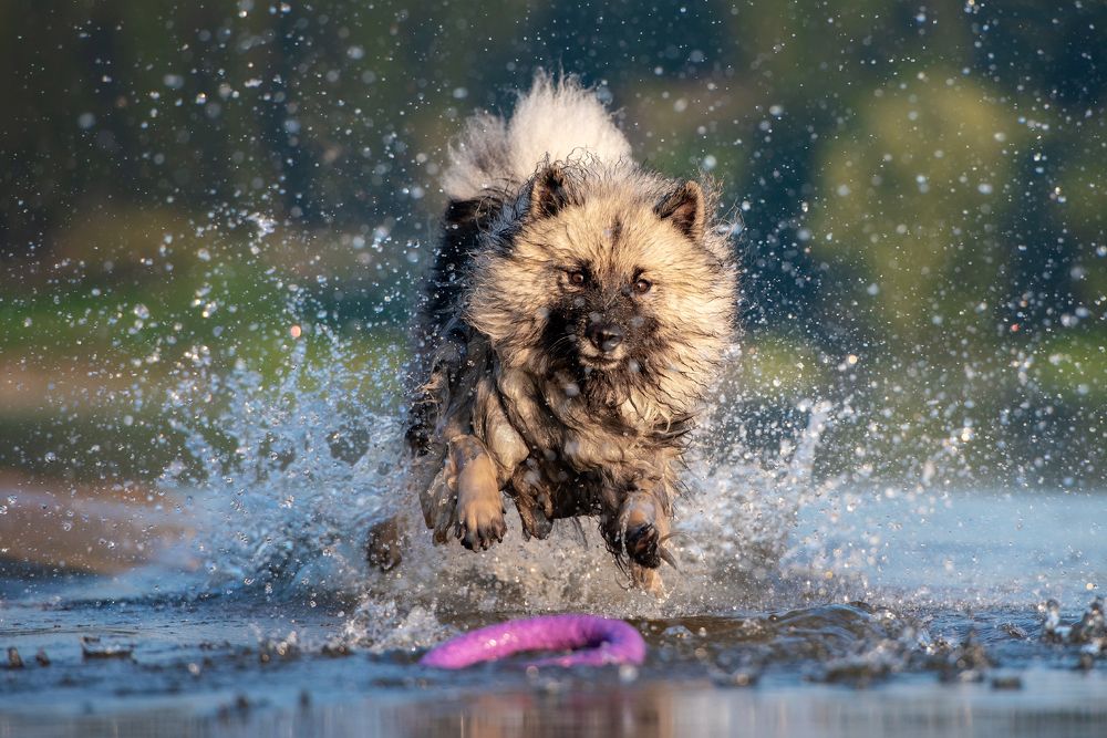 Photograph by Мария Иванушкина