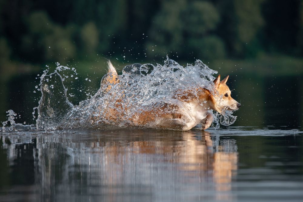 Photograph by Мария Иванушкина