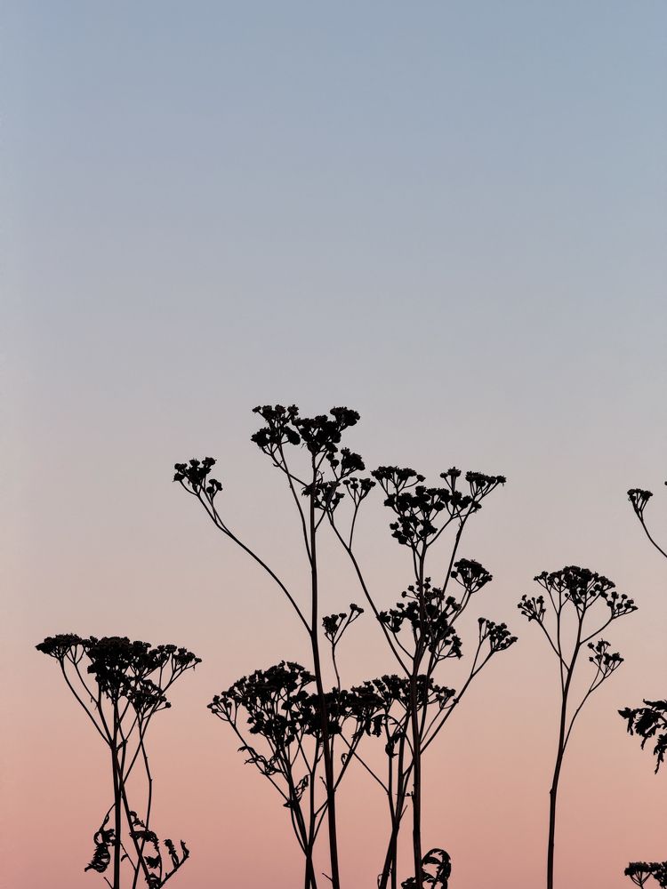 Photograph by Дарья Ищенко