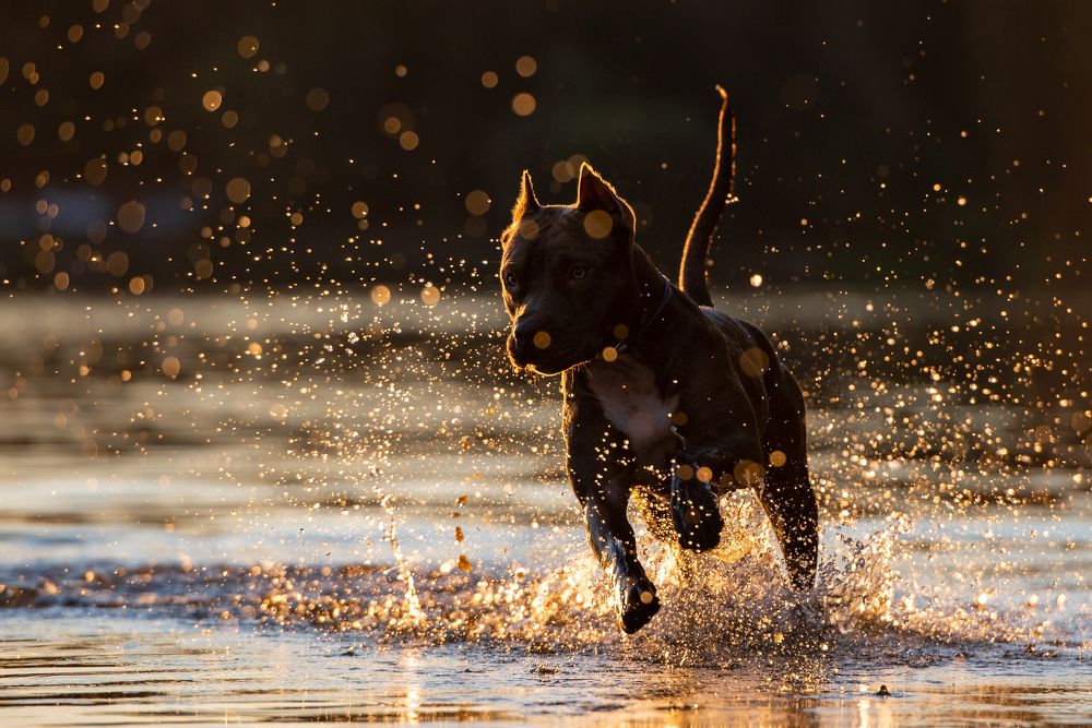 Photograph by Мария Иванушкина