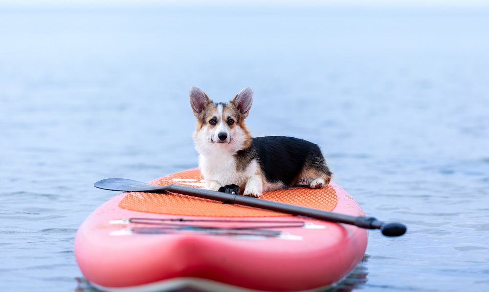 Photograph by Наталья Кирина