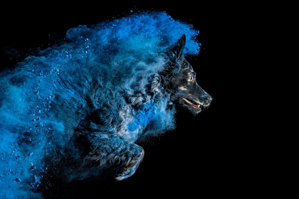 Photograph by Мария Иванушкина