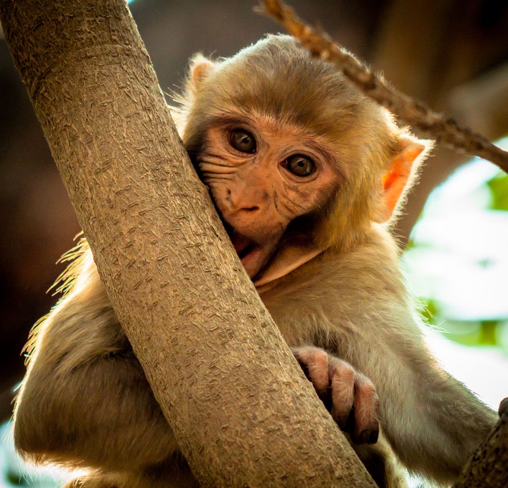 Photograph by Диана Бородзе