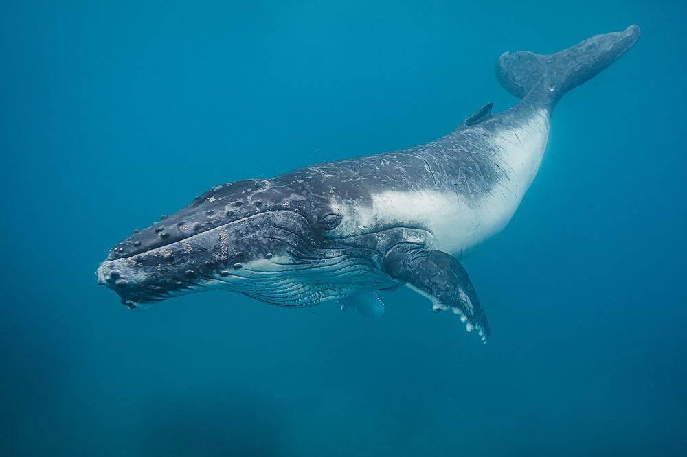 Photograph by Труханов Илья