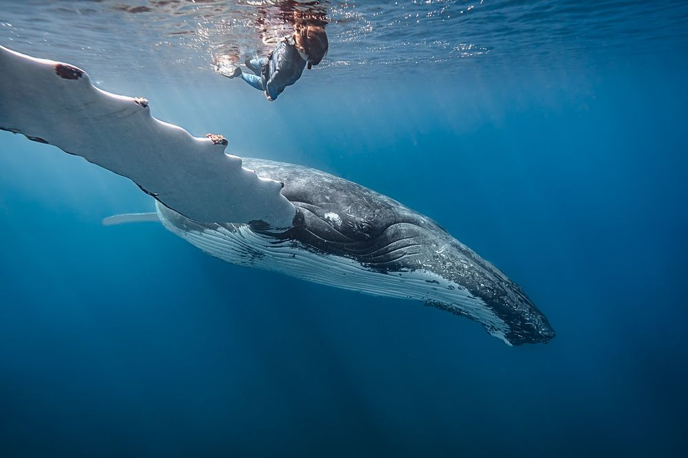 Photograph by Труханов Илья