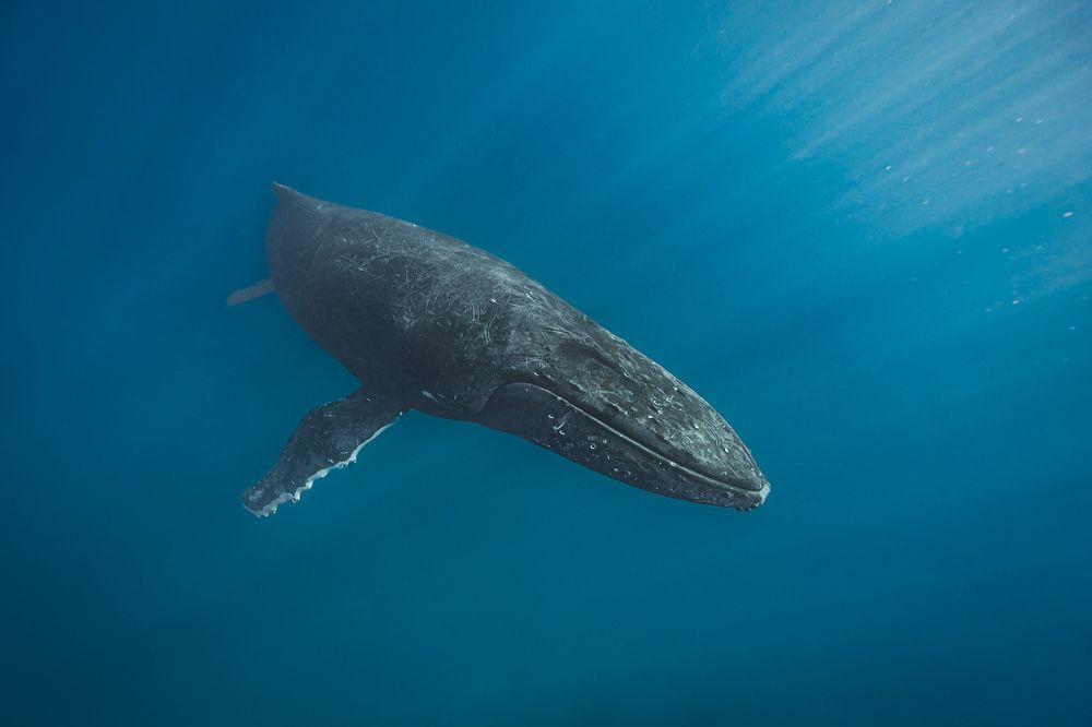 Photograph by Труханов Илья