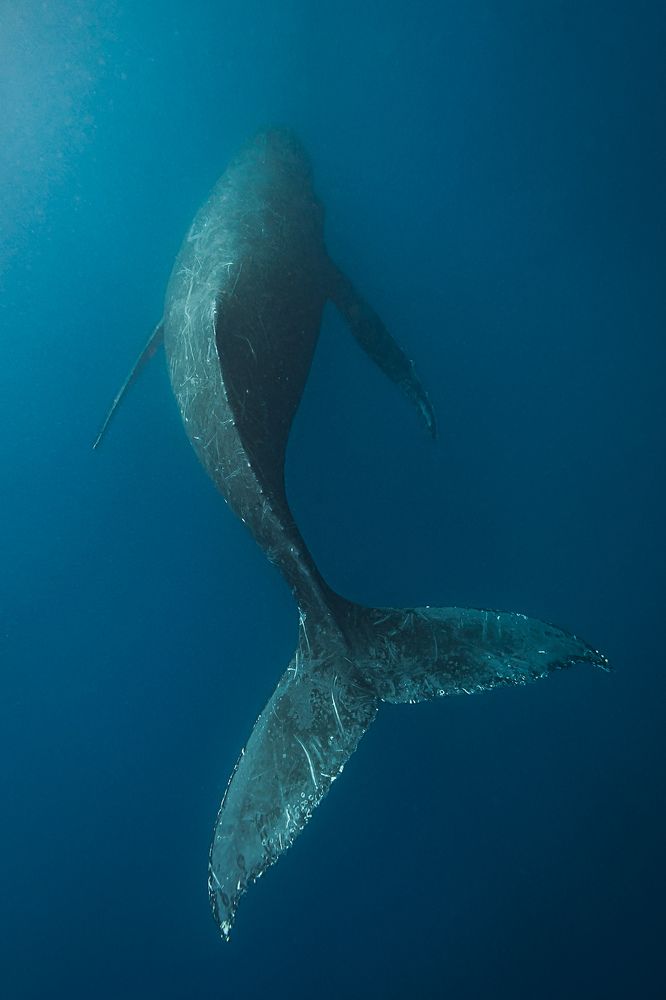 Photograph by Труханов Илья