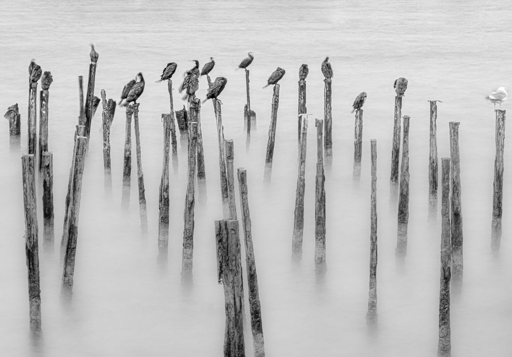 Photograph by Валерий Одинцов