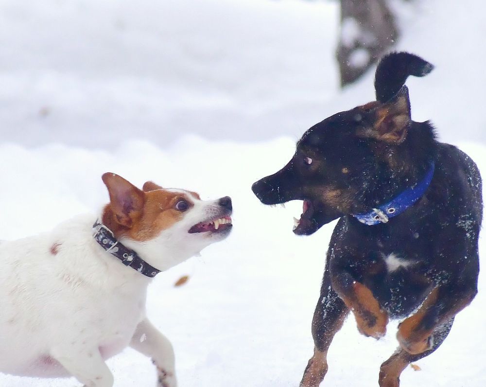 Photograph by Николай Абакумов