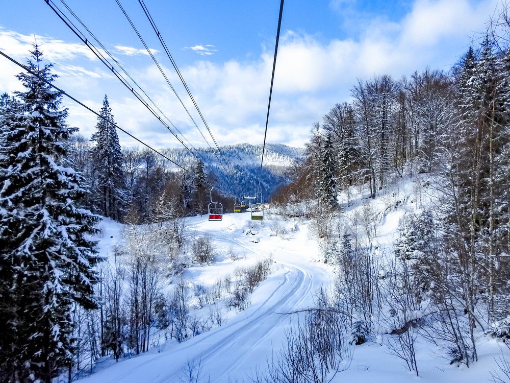 Photograph by Диана Бородзе