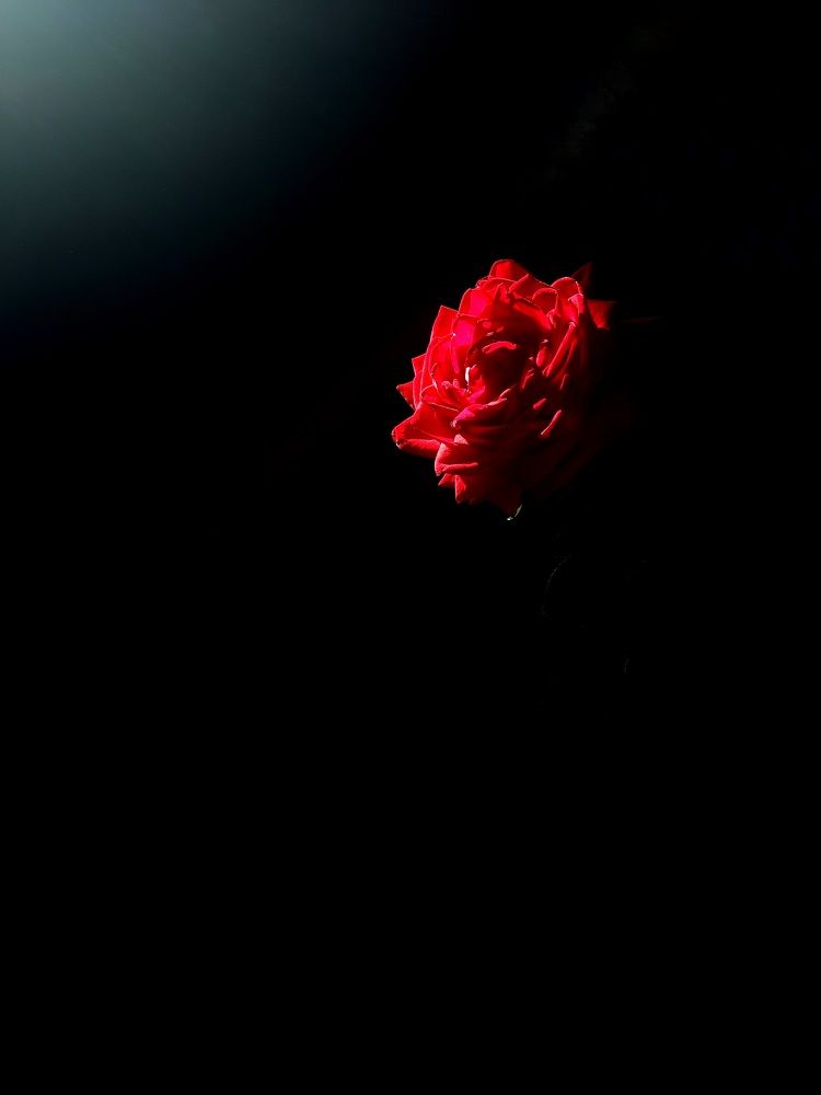 Photograph by Оксана Волкова