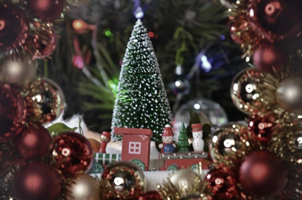 Photograph by Ольга Шевцова