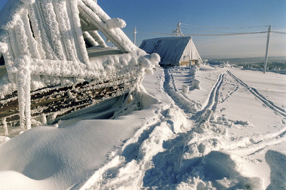 Зимние тропинки