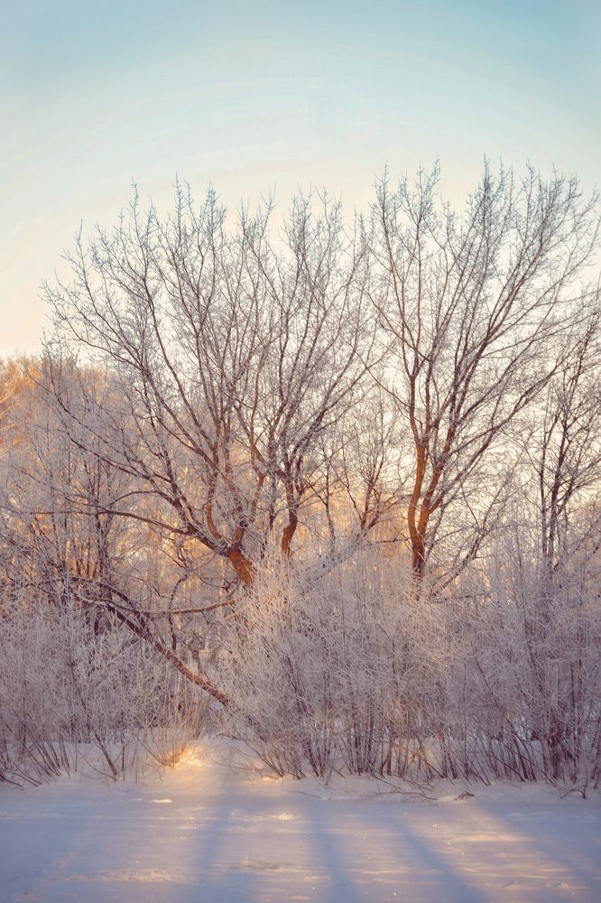 Photograph by Marina Gritchina