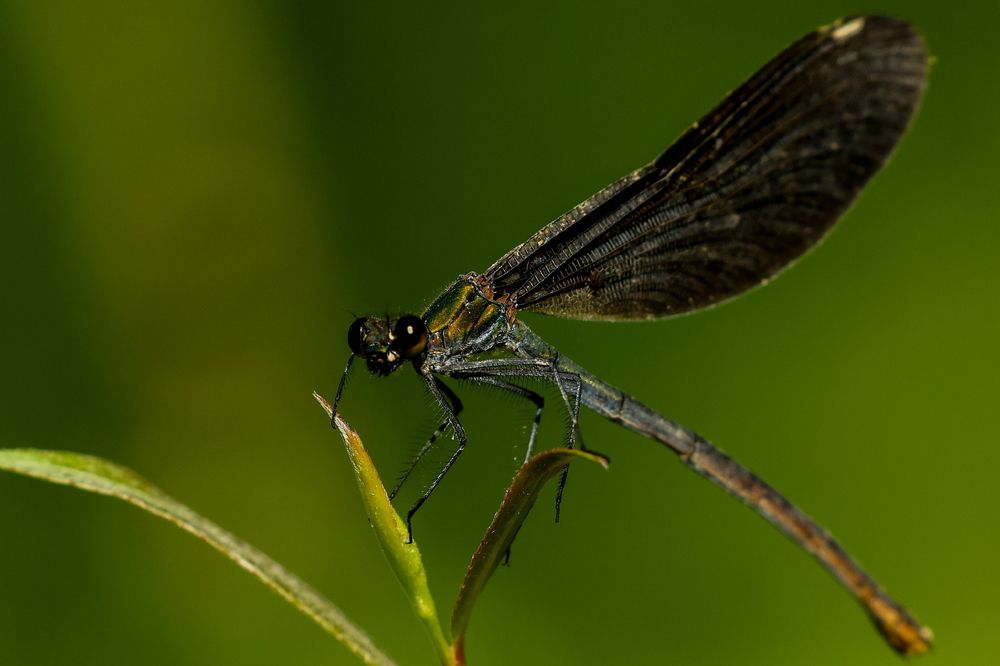 Photograph by Борис Лишневский