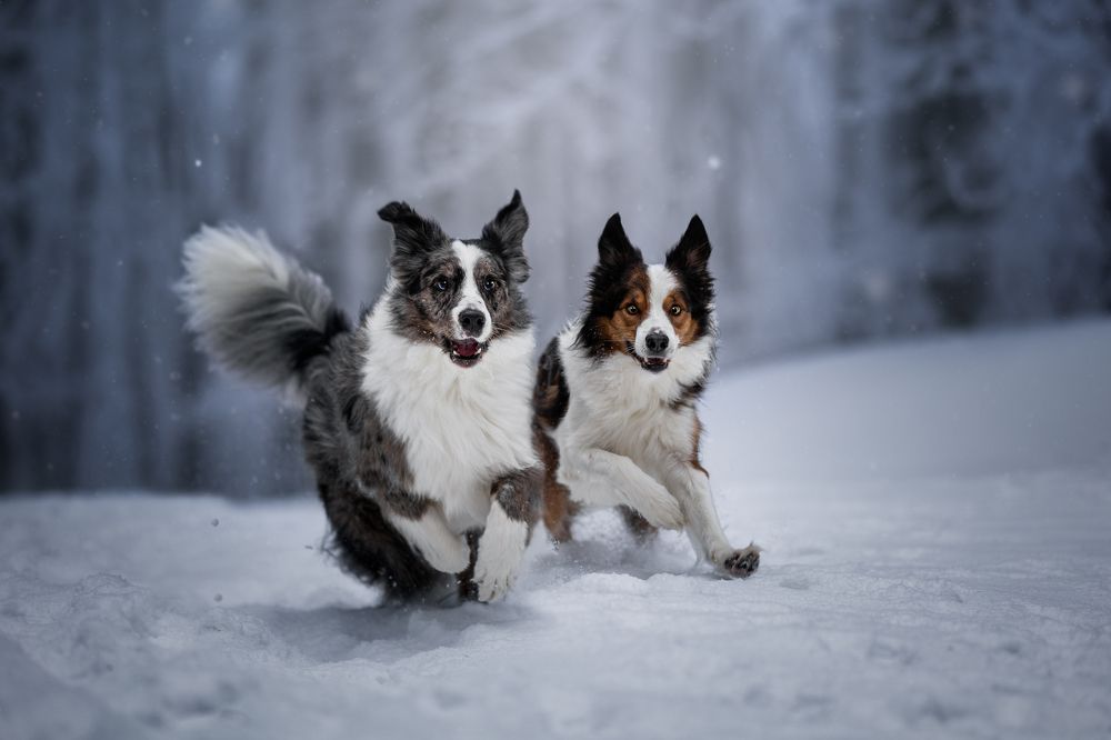 Photograph by Veronika Blažeková