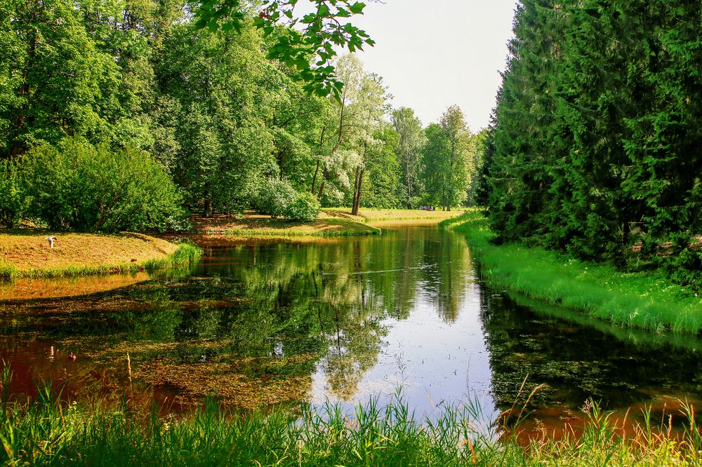 Photograph by Переслегин Александр