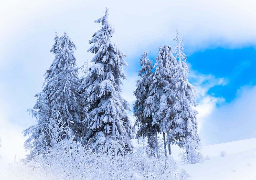 Photograph by Диана Бородзе