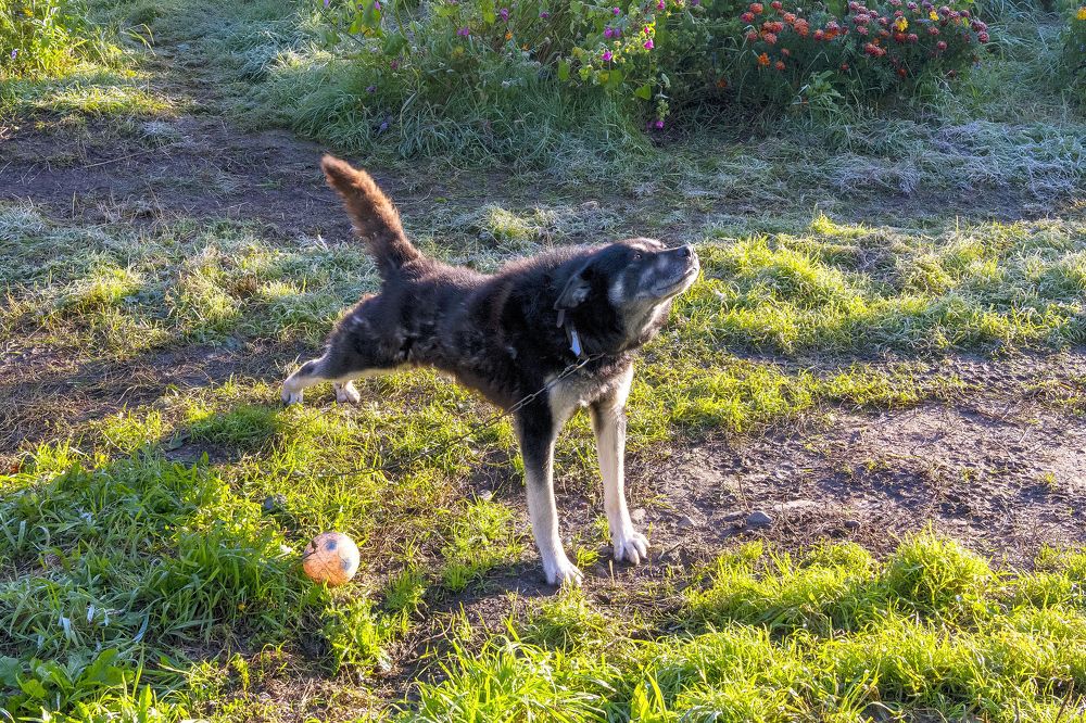 Photograph by Юрий Тимофеев