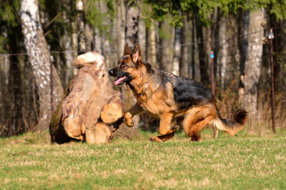 Photograph by Виталий Полуэктов